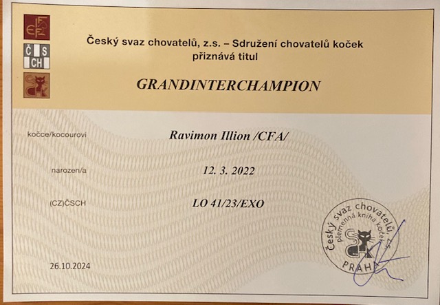 Ravimon Illion  